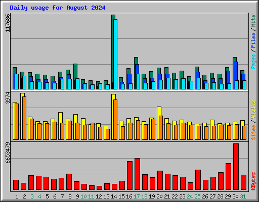 Daily usage for August 2024