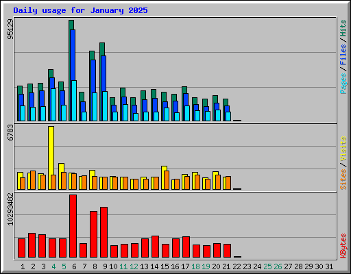 Daily usage for January 2025