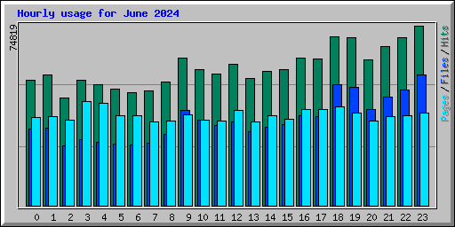 Hourly usage for June 2024