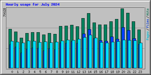 Hourly usage for July 2024