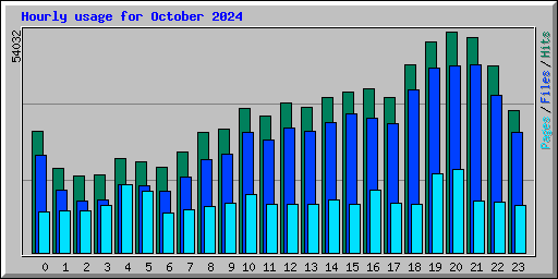 Hourly usage for October 2024