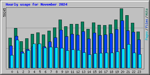 Hourly usage for November 2024