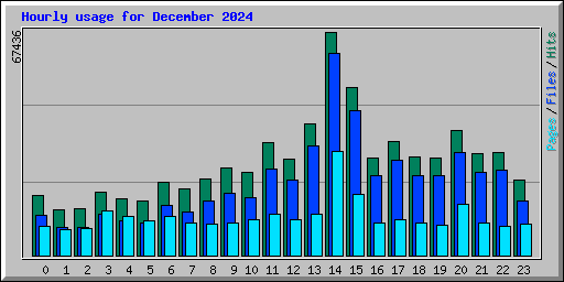 Hourly usage for December 2024