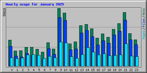 Hourly usage for January 2025