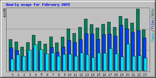 Hourly usage for February 2025