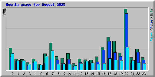 Hourly usage for August 2025