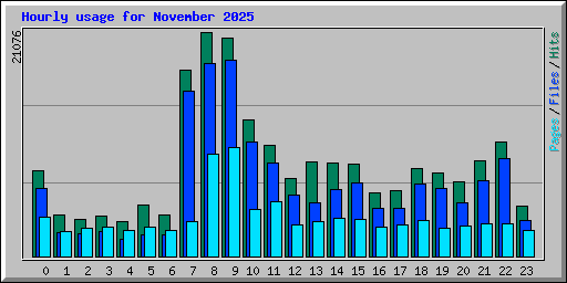 Hourly usage for November 2025