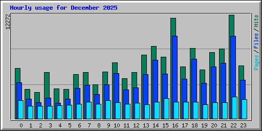 Hourly usage for December 2025
