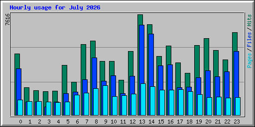 Hourly usage for July 2026
