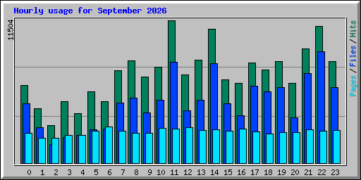Hourly usage for September 2026